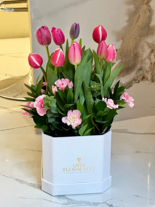 Box Tulipanes
