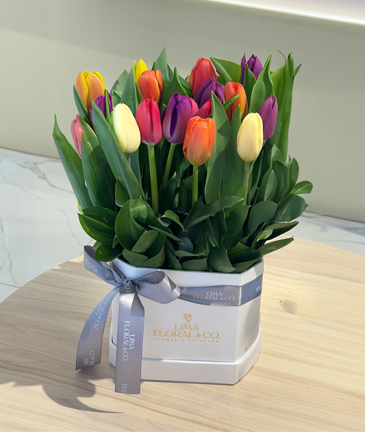 Jardín 20 tulipanes