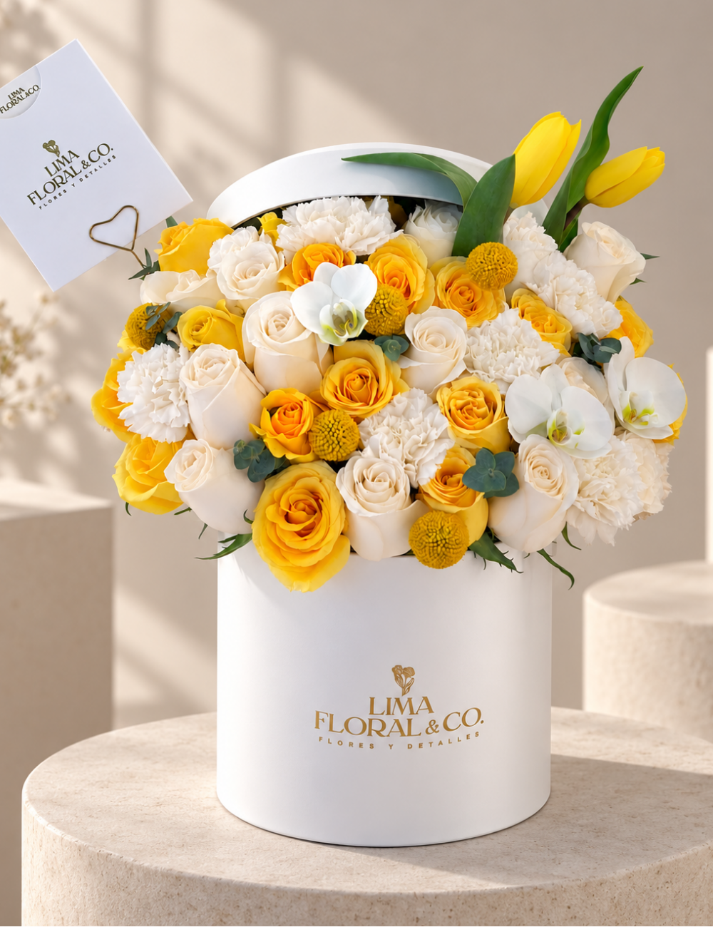 Box Kendall Amarillo