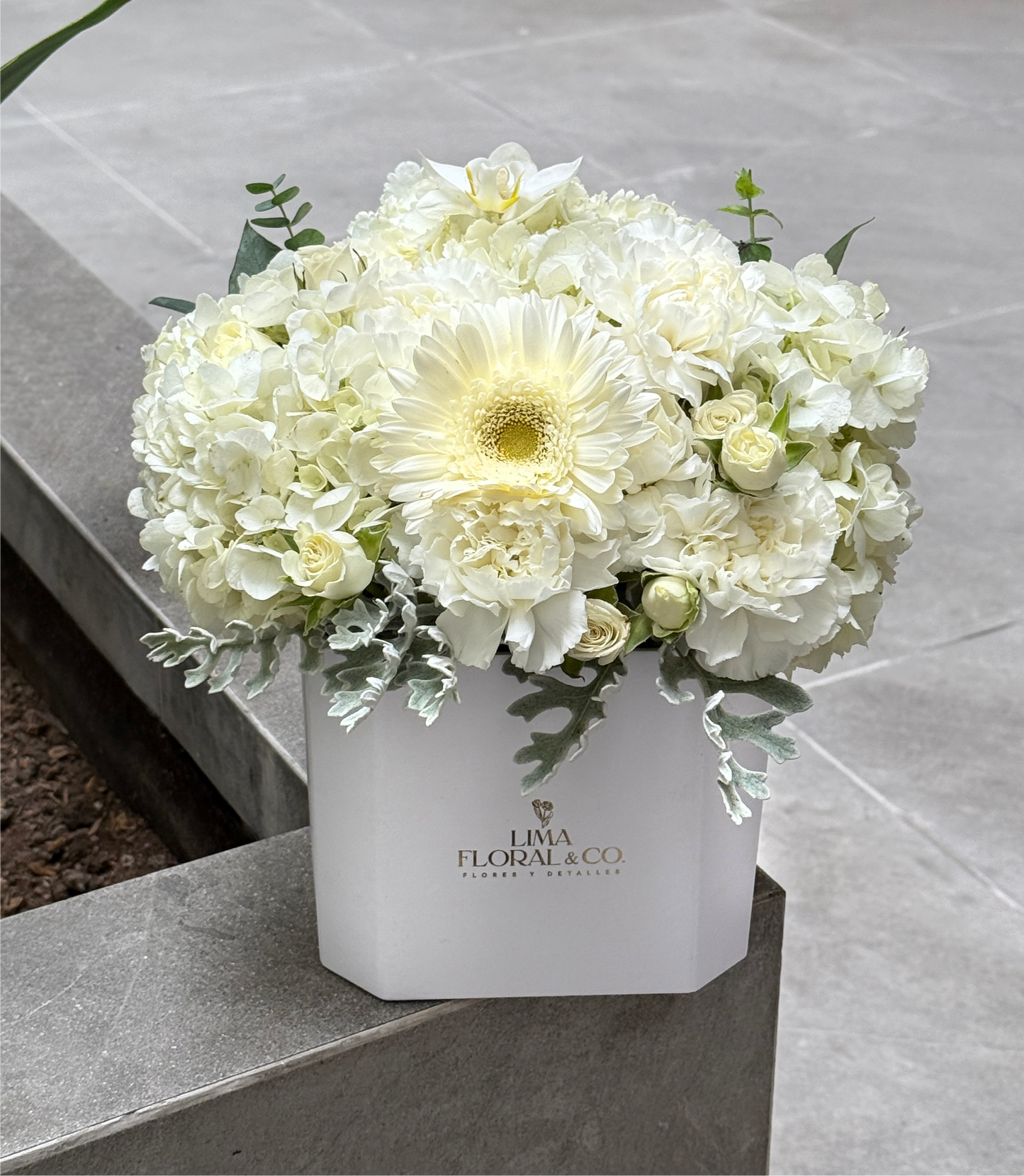 Box alba: gerberas, mini rosas, orquídea y hortensias