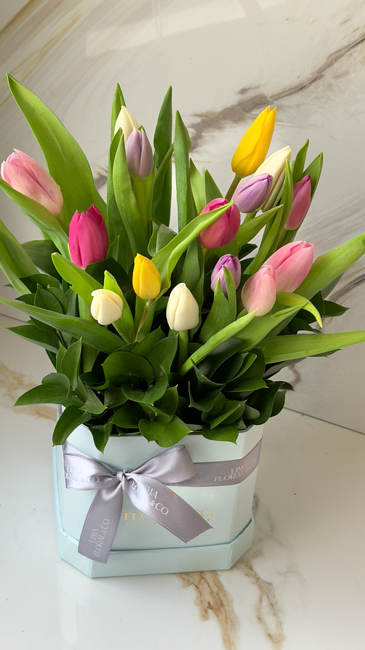 Jardín 15 tulipanes