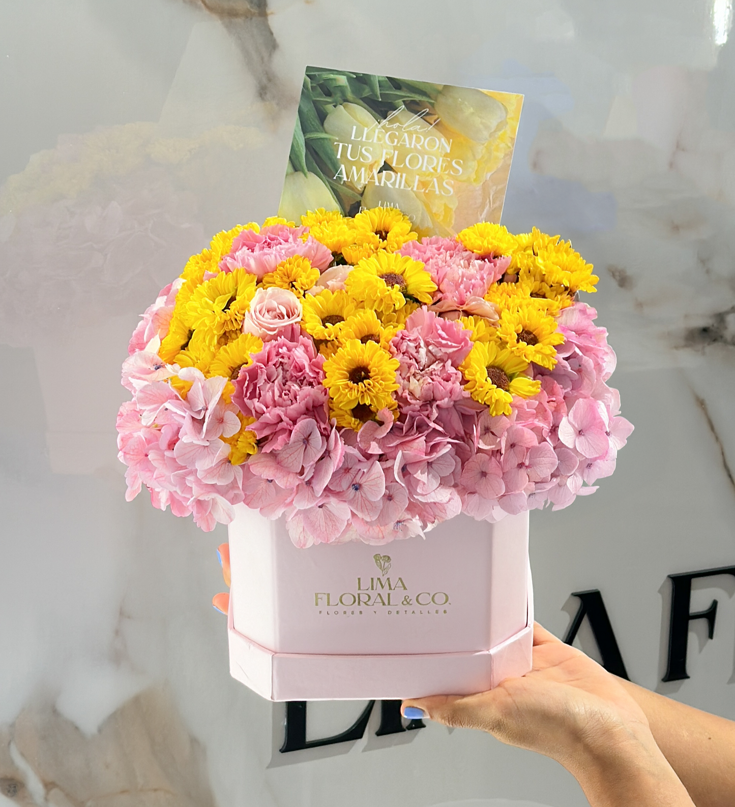 Box Mini Girasol - Flores Amarillas