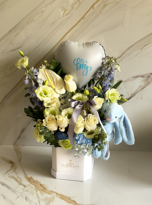 Box  baby garden  + conejito - premium