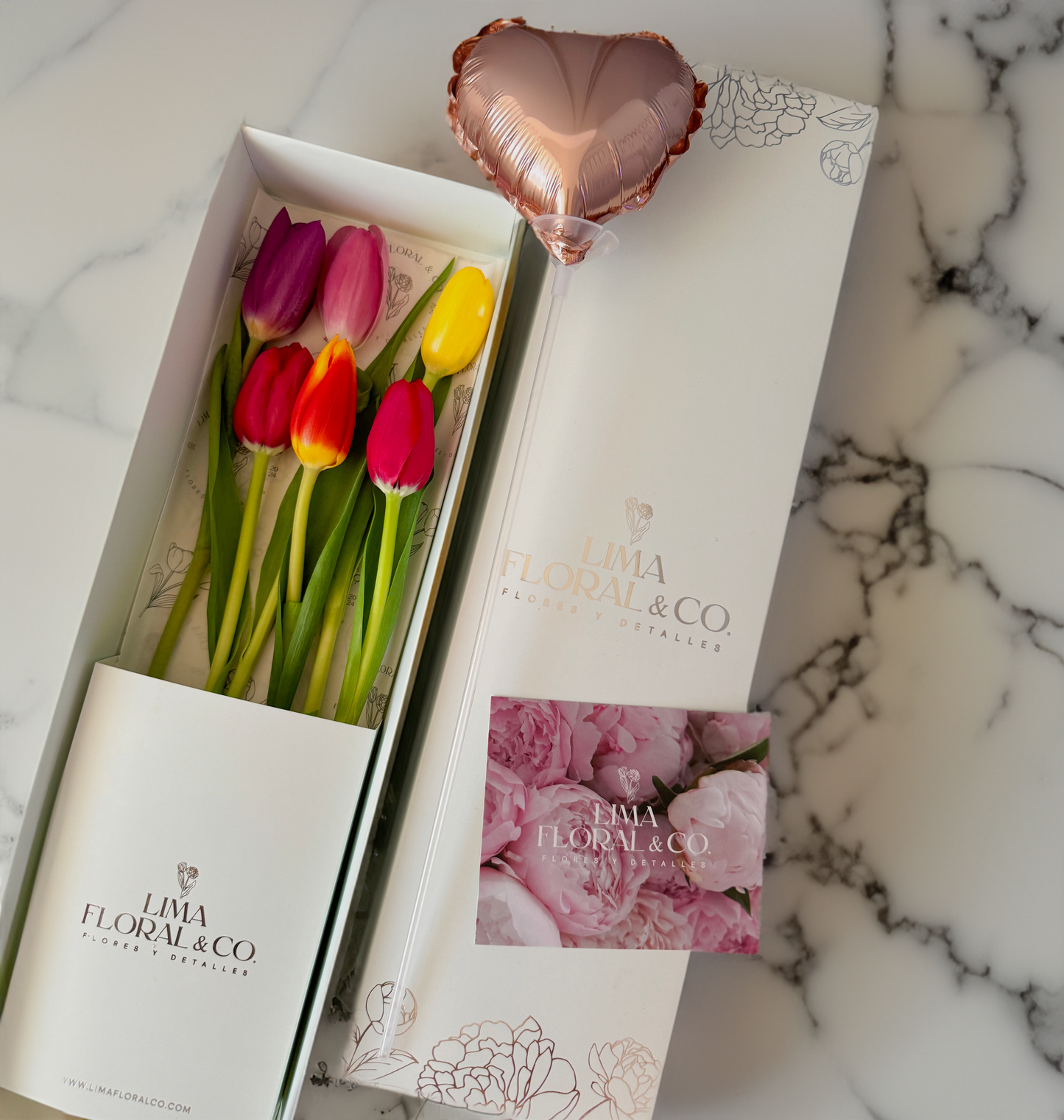 Caja 6 Tulipanes Multicolor