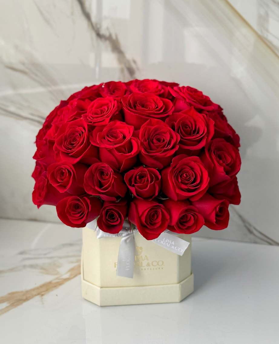 Box 70 Rosas + Globo