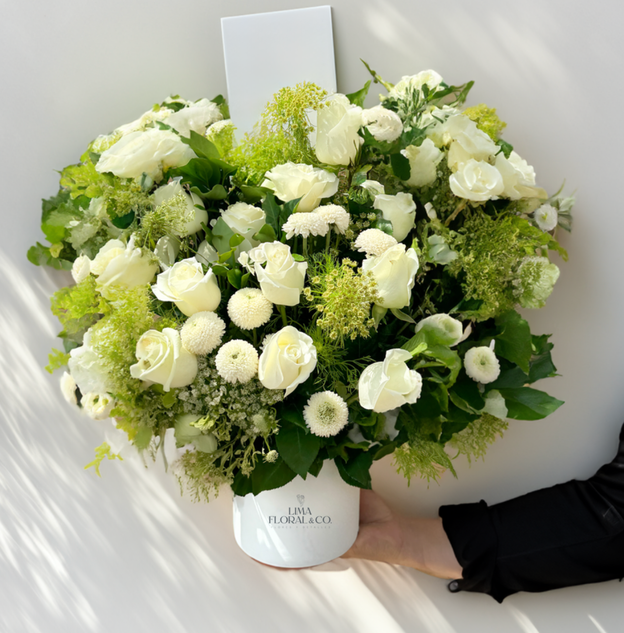 White Garden: Condolencias