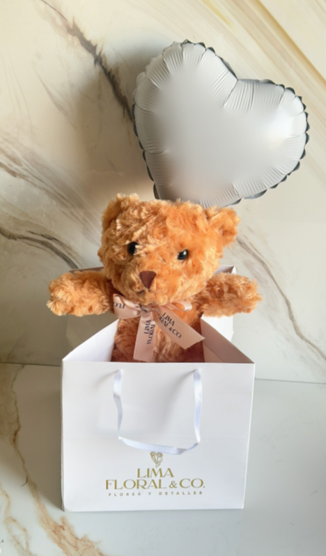 Osito Teddy de Peluche