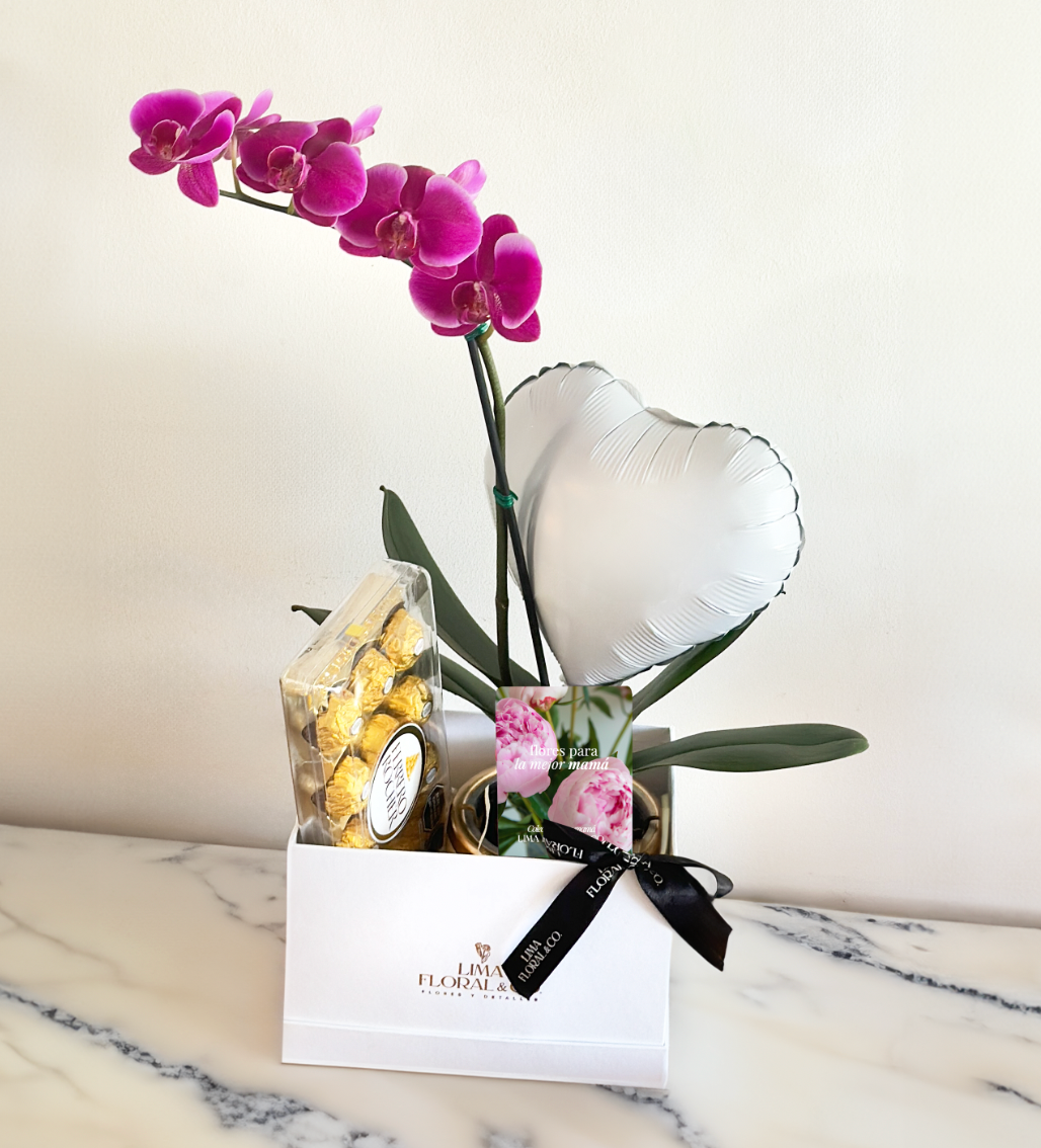 Eternal love Orquídea - Para mamá