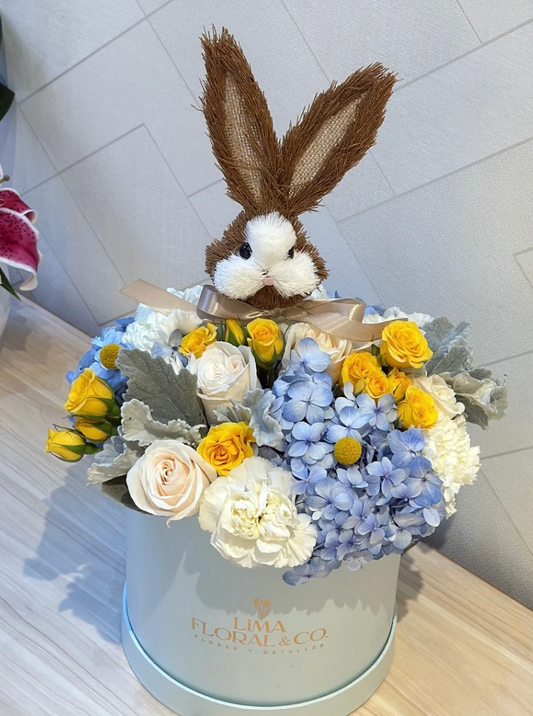 Box conejito bebé: nacimientos