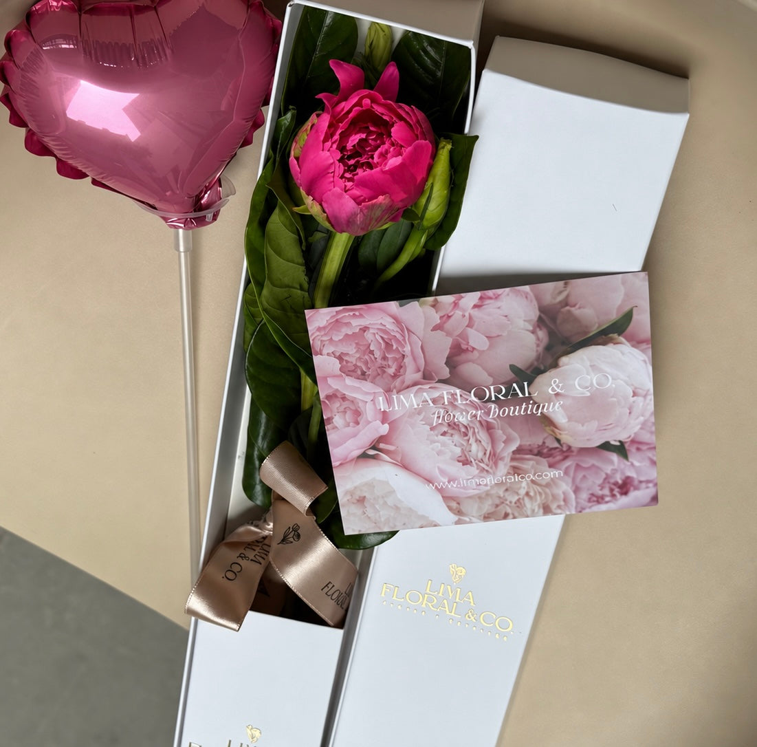 Caja 1 Peonia Fucsia