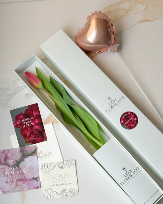 Caja de 1 Tulipán