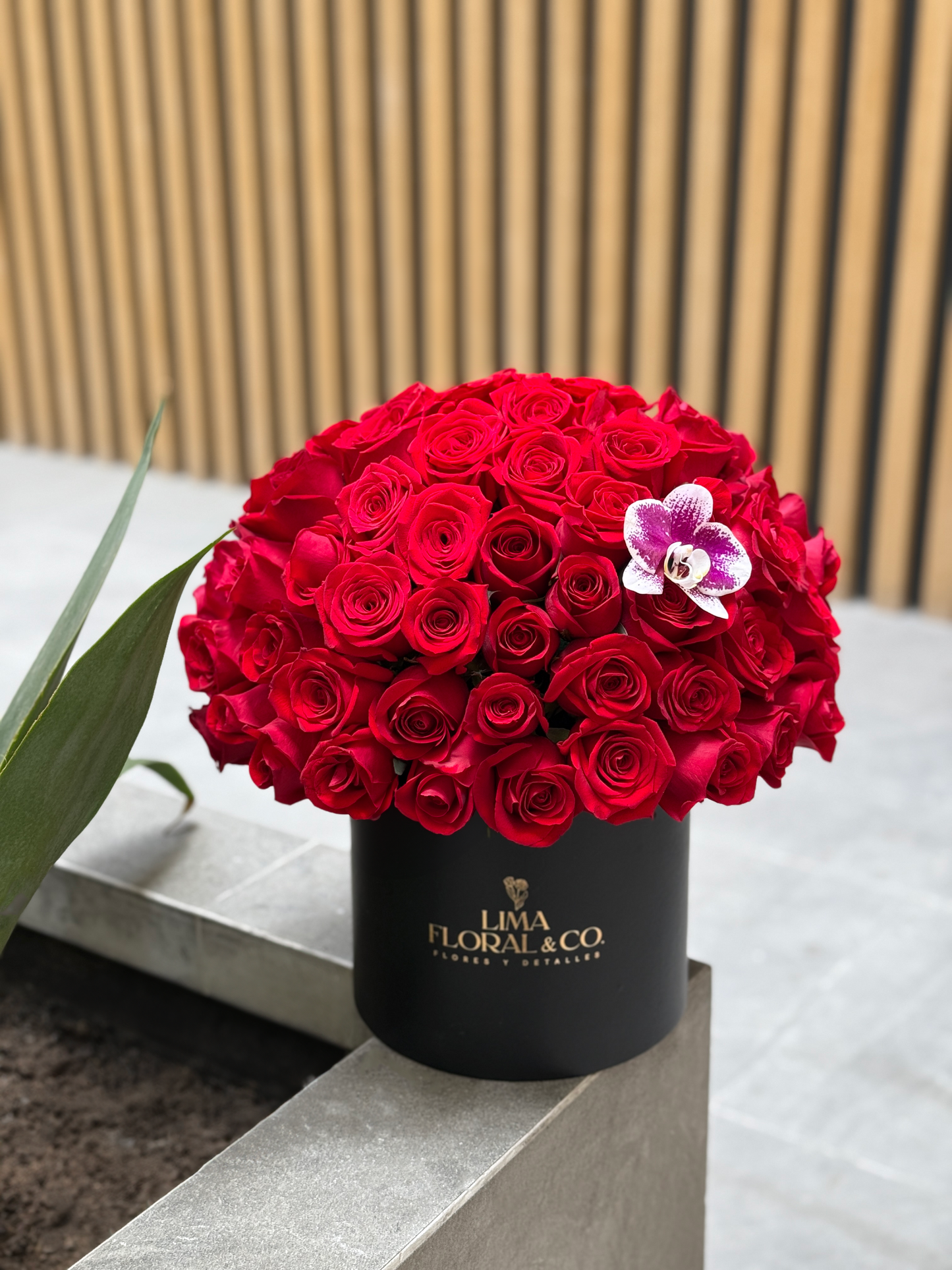 Box 80 Rosas Premium