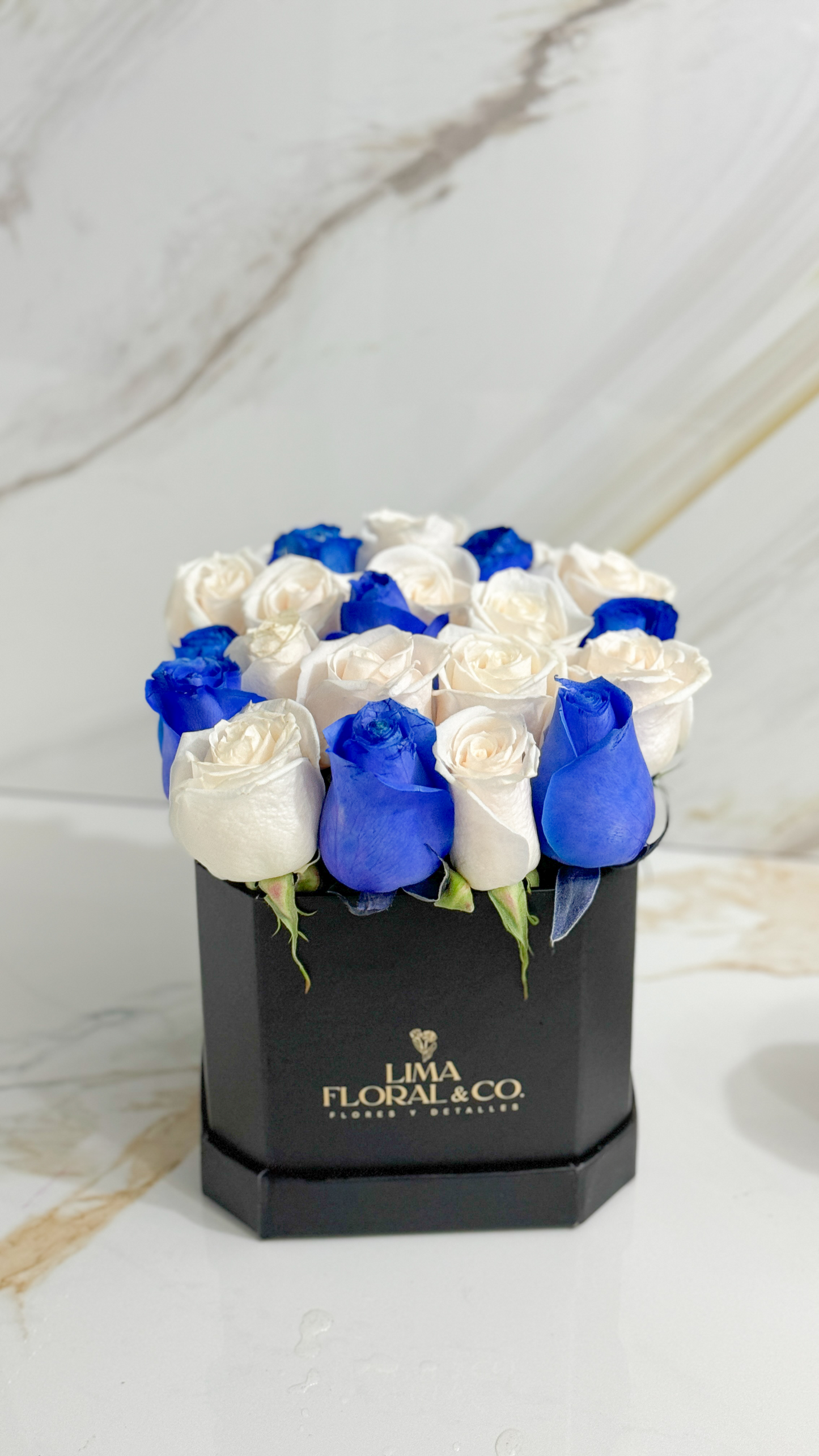 Mini Box Azul y Blanco - Rosas