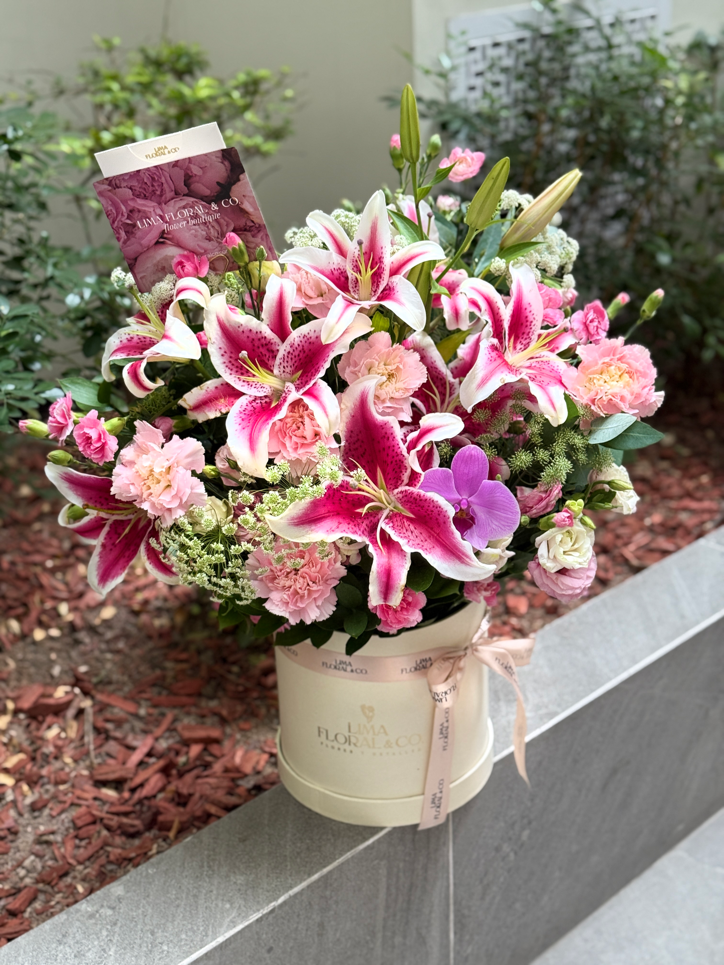 Box Lirios - Jardín de Lirios