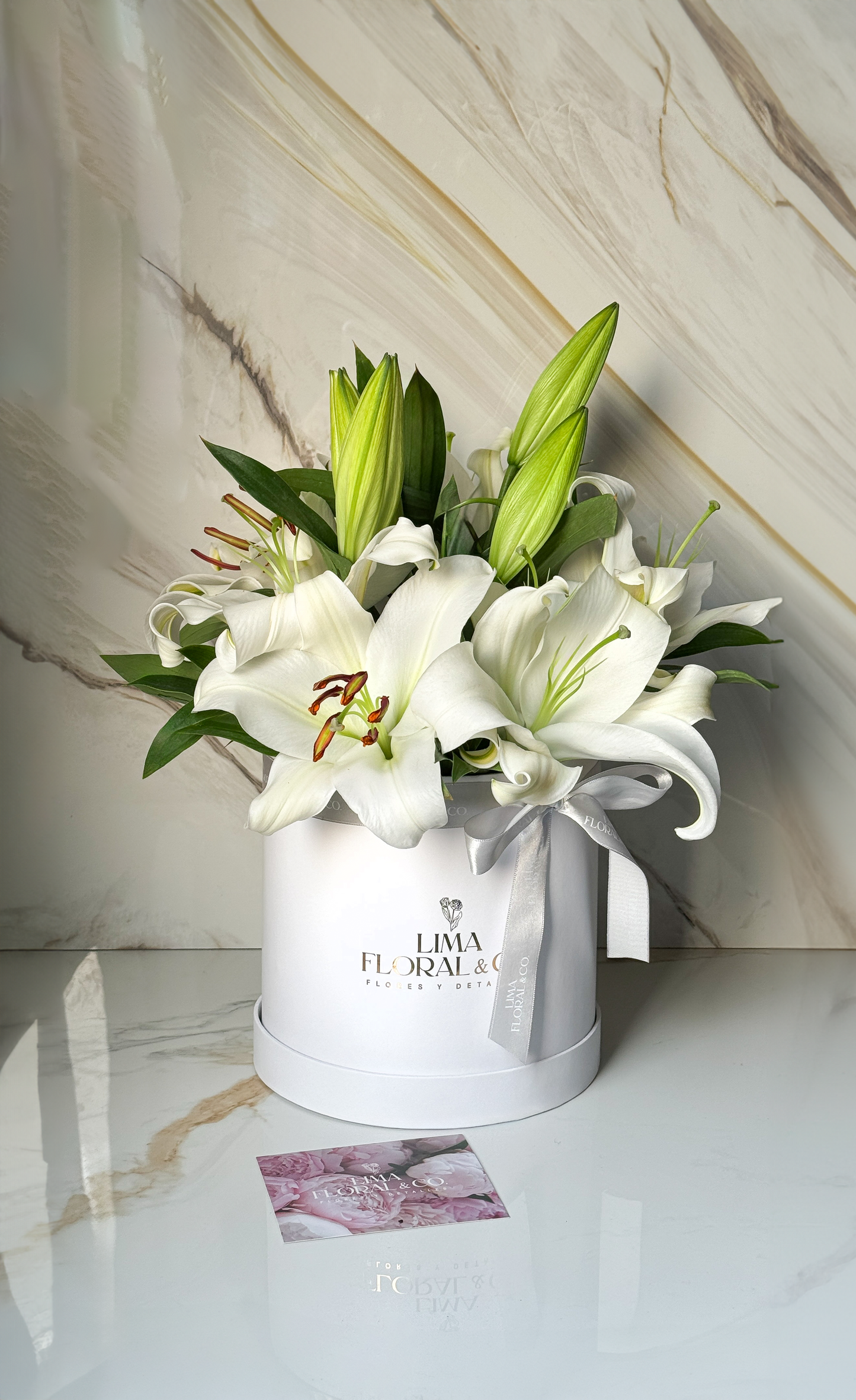 Box Lilium Blanco