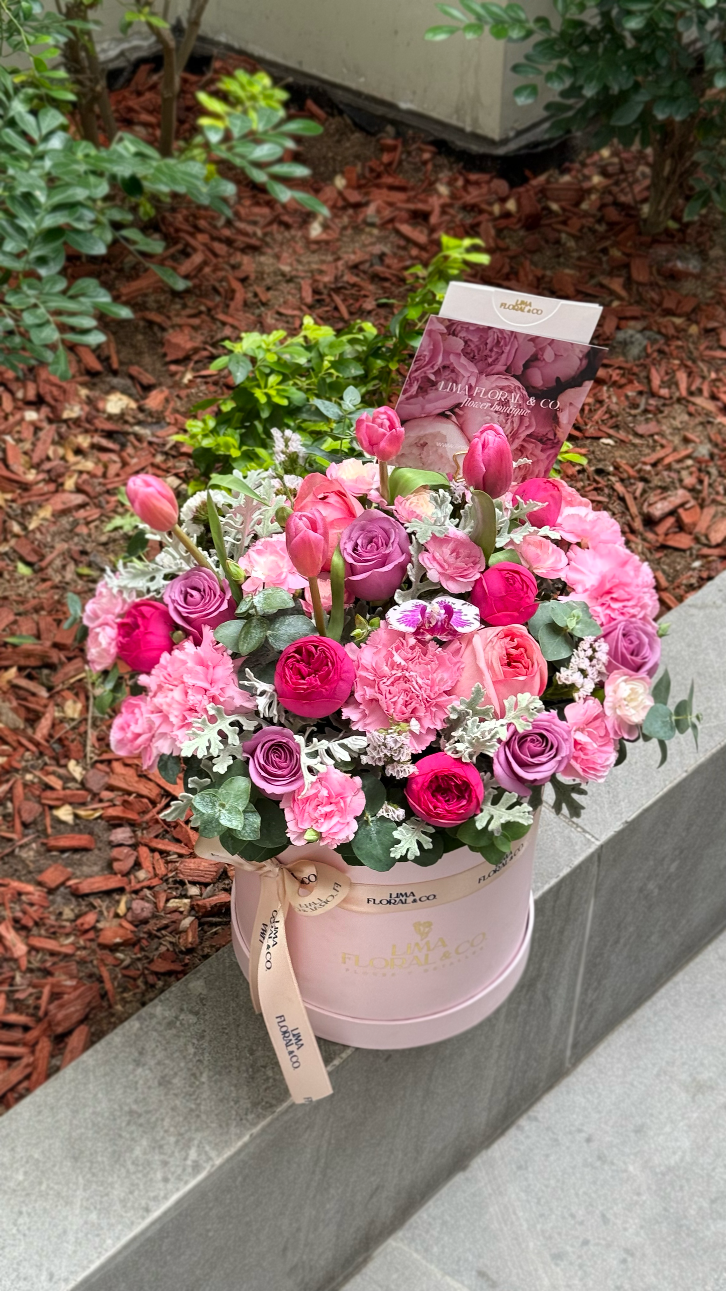 Box Pink Lover: tulipanes, rosas, claveles & rosas inglesas (mini peonias)