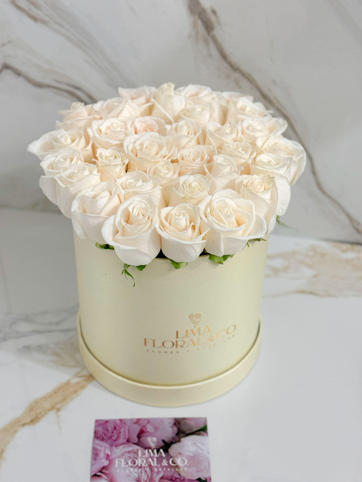 Box Charlotte: rosas blancas