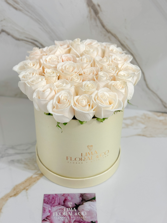 Box Charlotte: rosas blancas