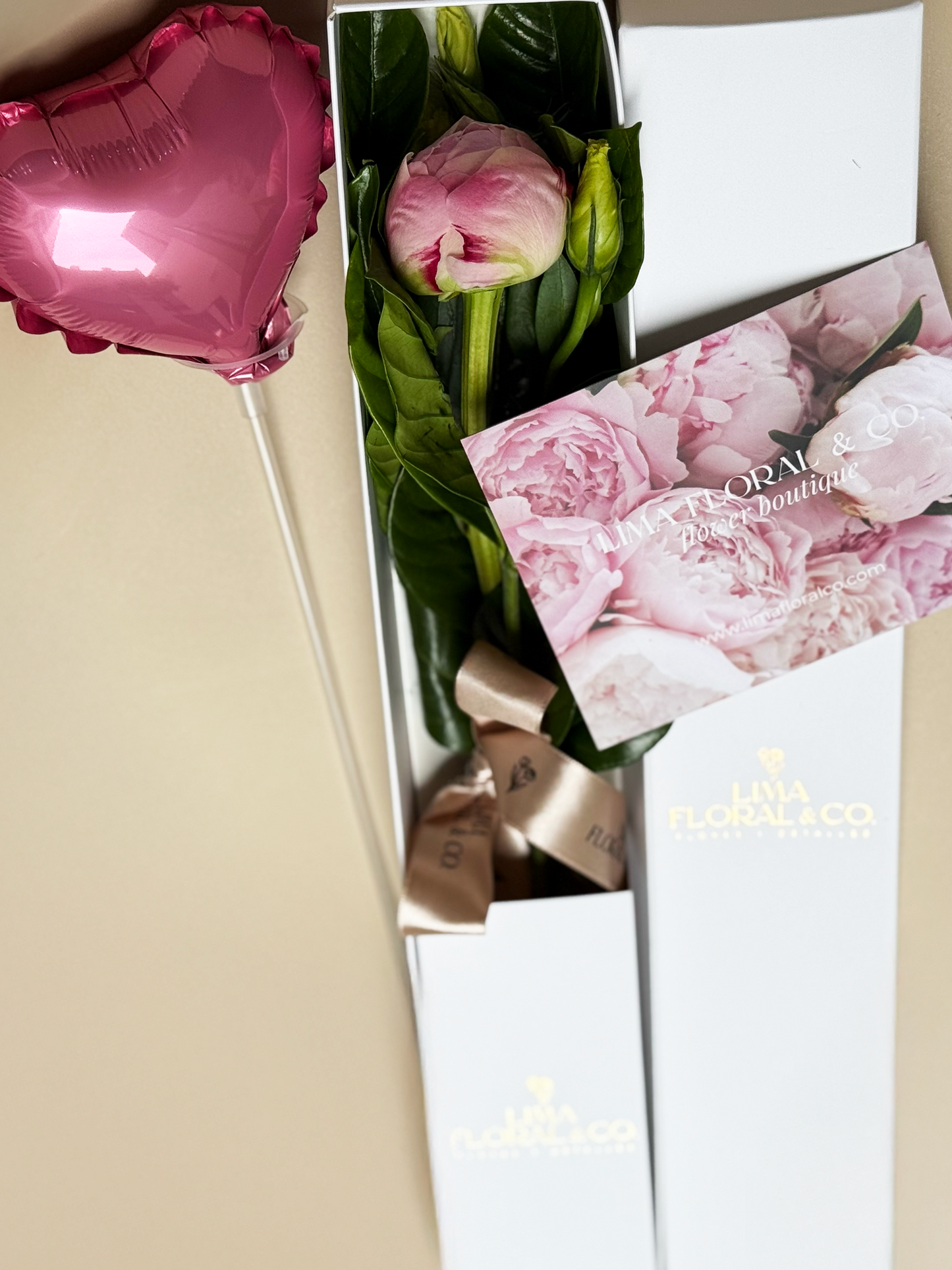 Caja 1 Peonia Rosada