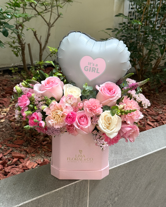 Box New Born - Nacimientos