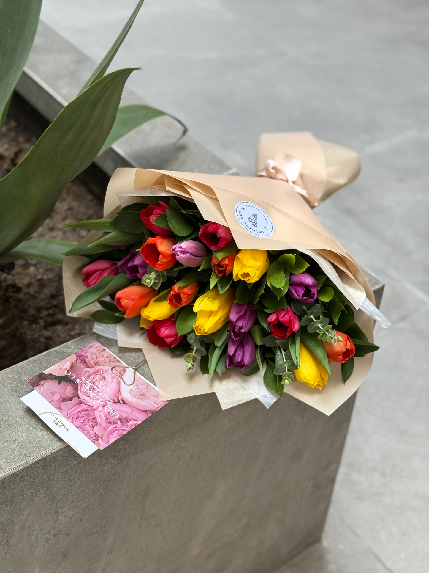 Ramo 20 tulipanes multicolor