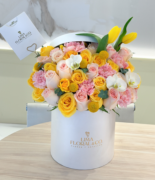 Sombrerera Kendall - Box Grande