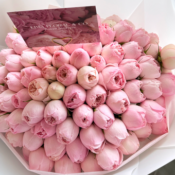 Mini Peonias