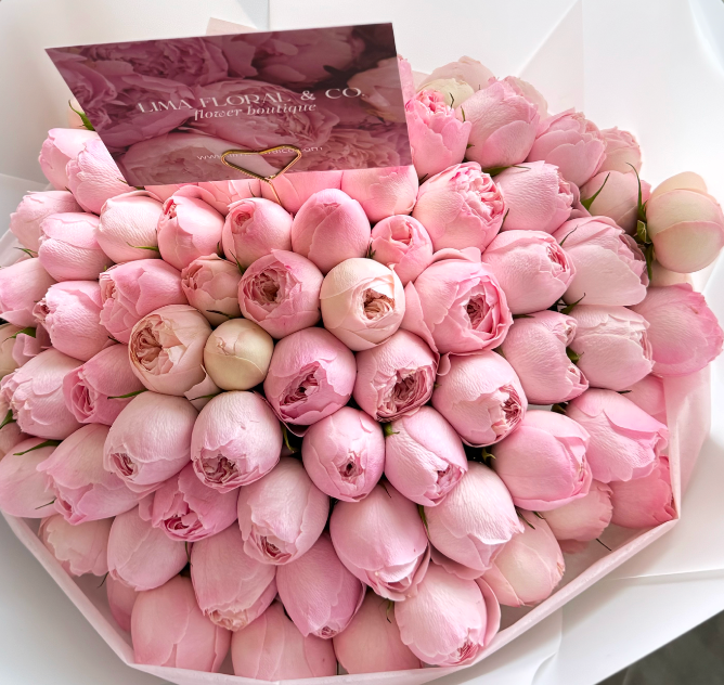 Mini Peonias