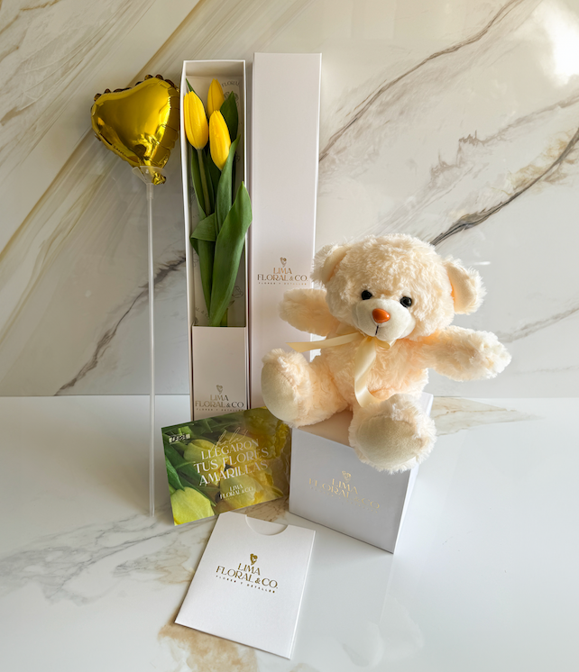 Packs de Regalo