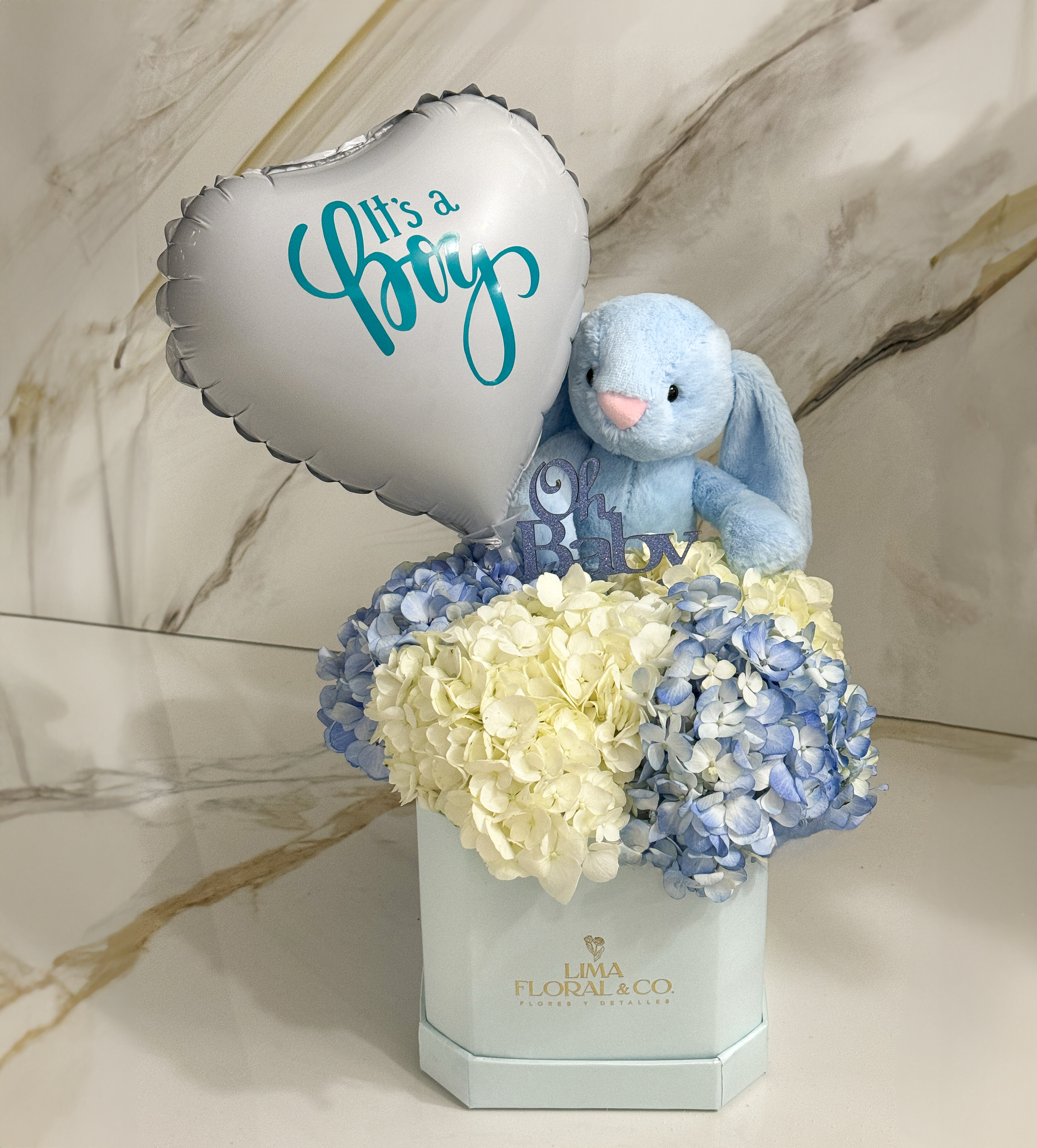 Nacimientos/Baby Shower/It's a Girl/It's a Boy