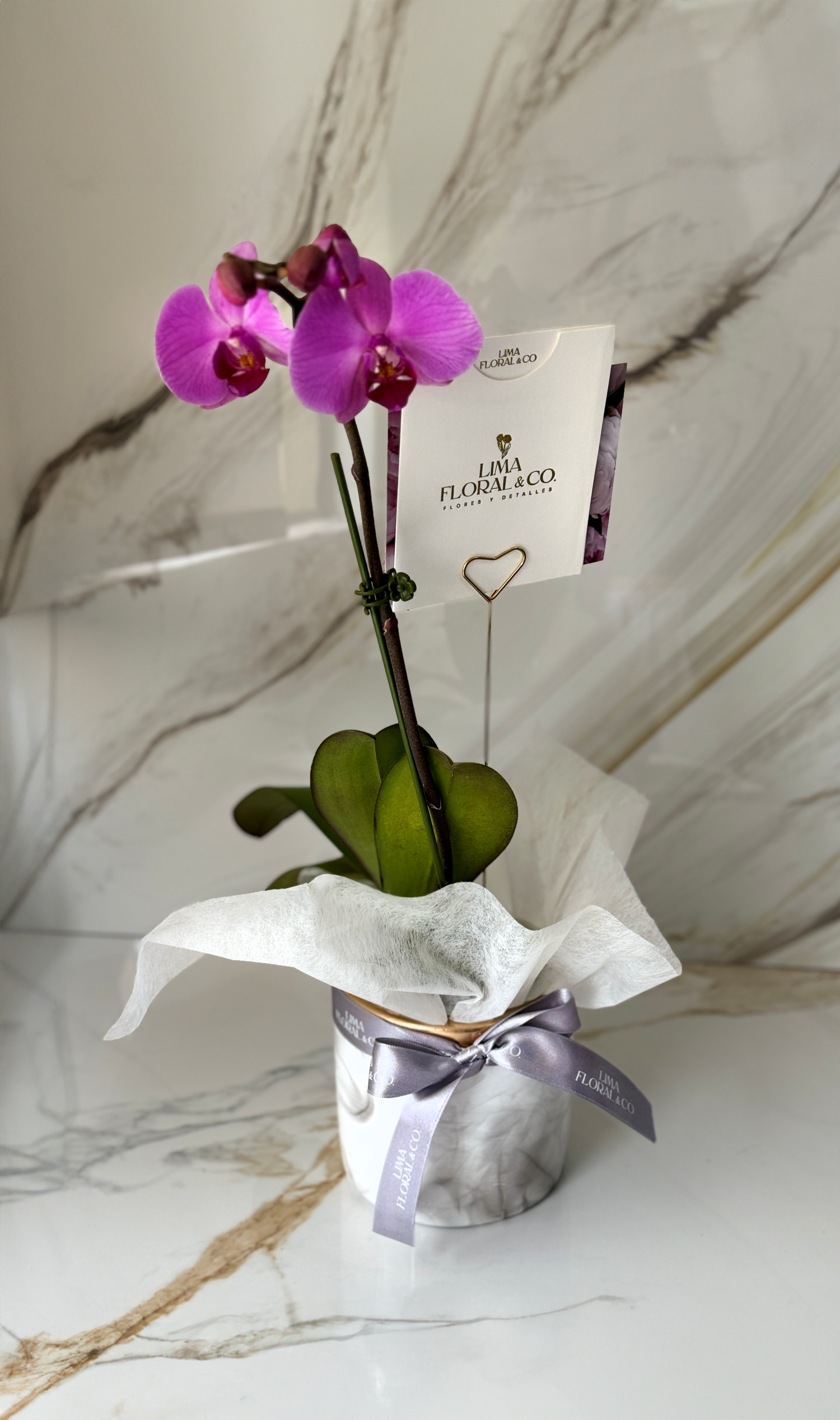 Orquídeas