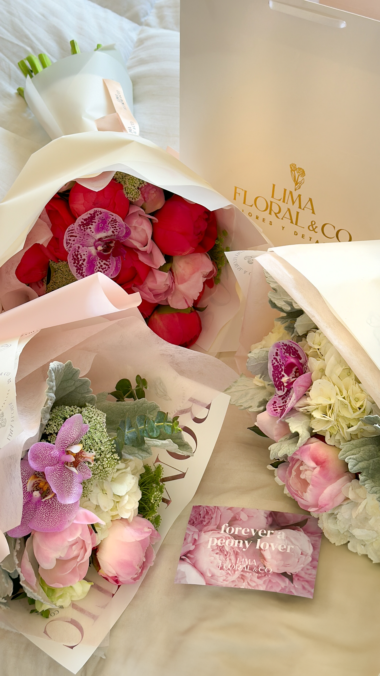 Peonias Exclusivas: Edición Limitada
