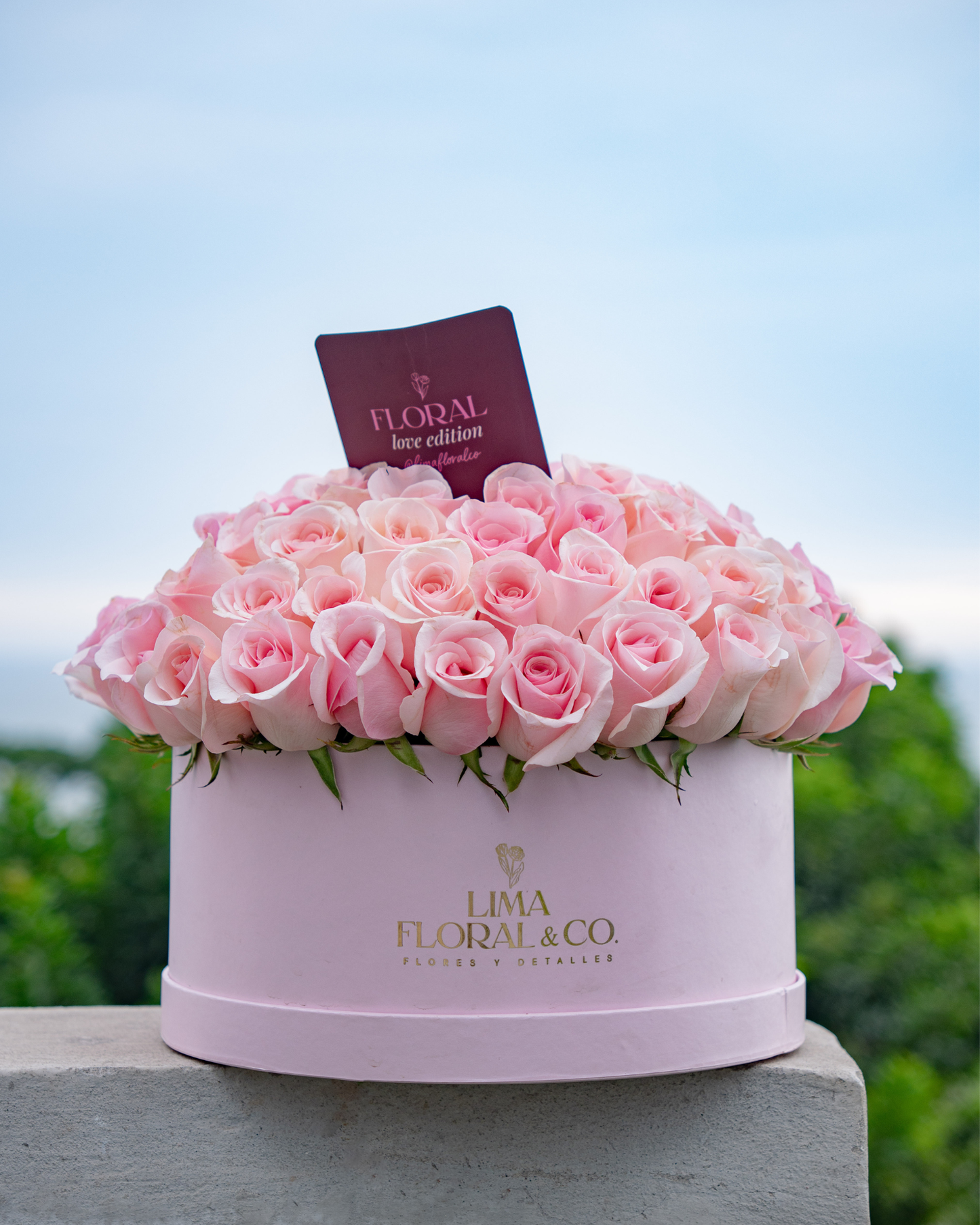 Round Luxury: Rosas Rosadas