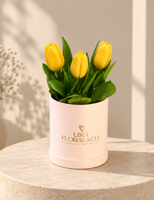 Box Mini 3 Tulipanes Amarillos