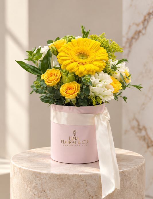 Box Mini Gerbera Amarilla