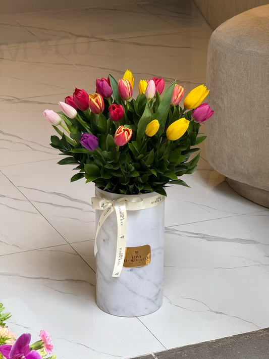 Box Alto 20 Tulipanes