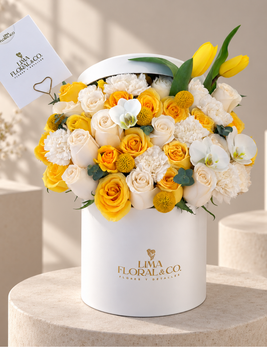 Box Kendall Amarillo