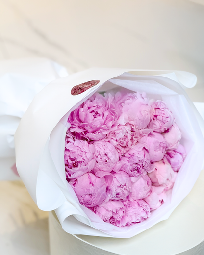 14 Peonias - San Valentín