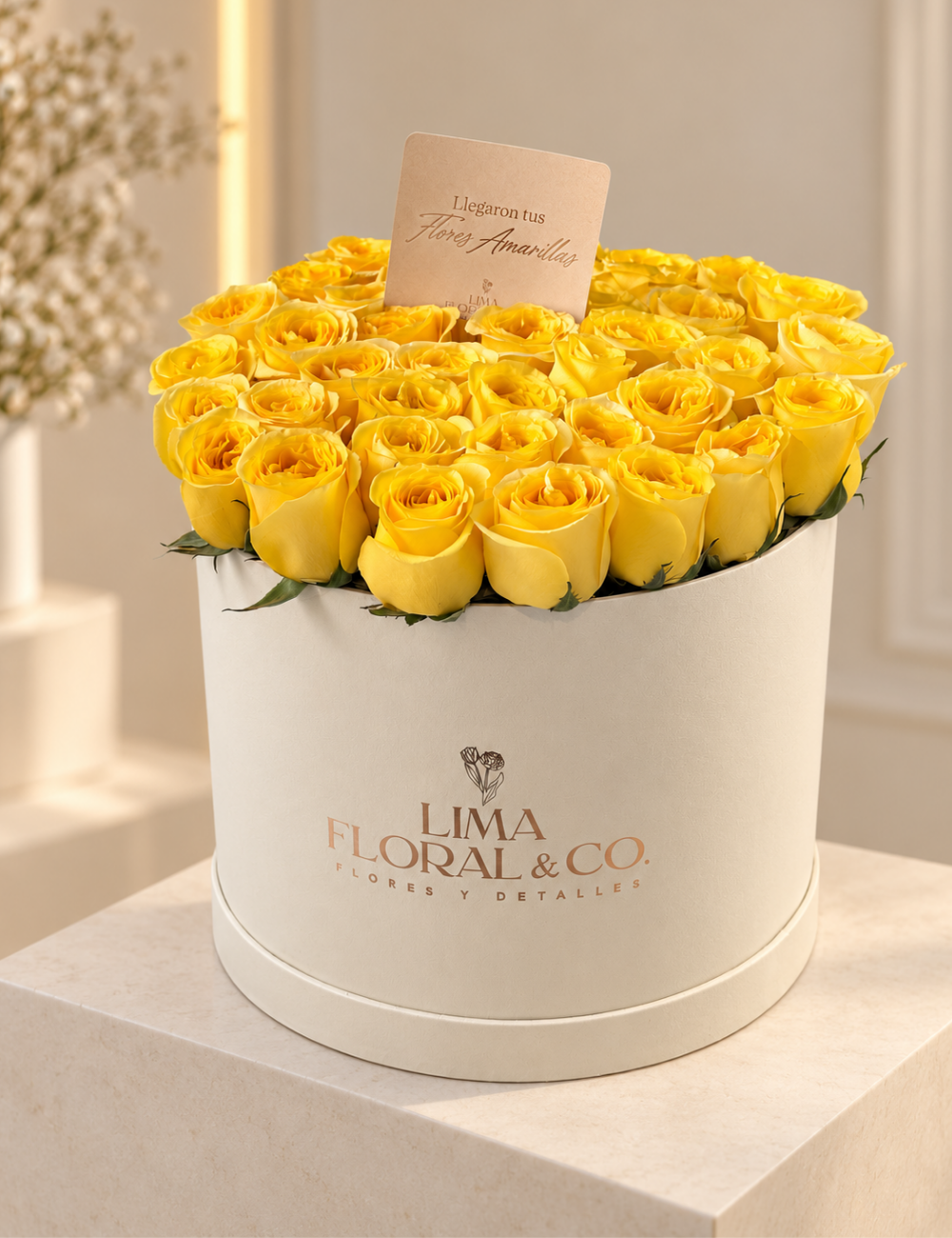 Yellow Box
