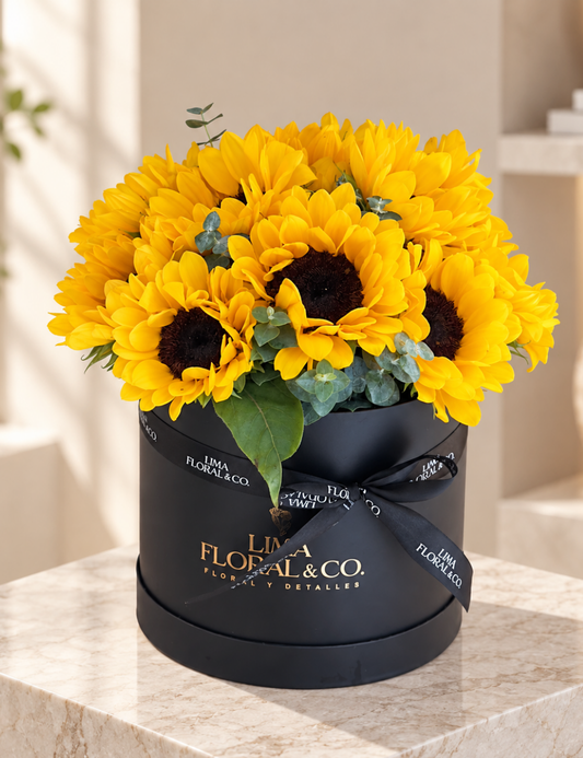 Box Sol: Girasoles