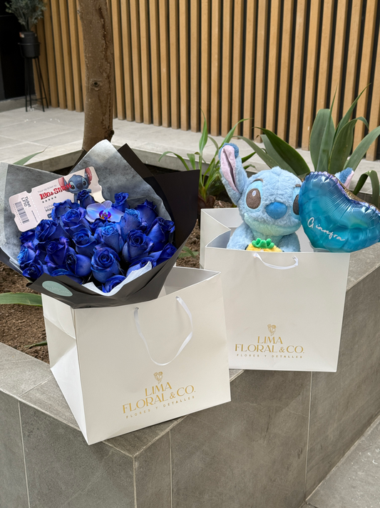 Ramo Ohana + Stitch