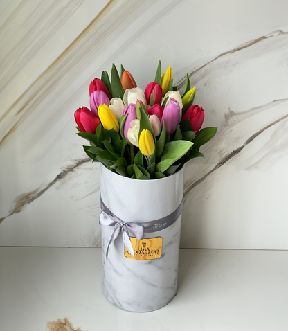 Box Alto 20 Tulipanes