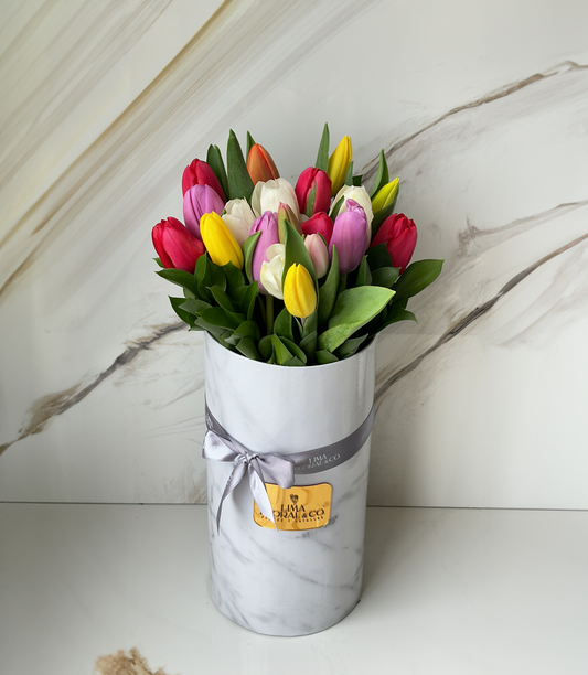 Box Alto 20 Tulipanes