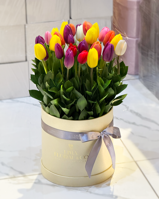 Box 30 tulipanes premium - jardín de tulipanes