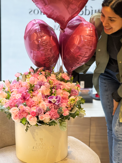 Dream Box: extra grande