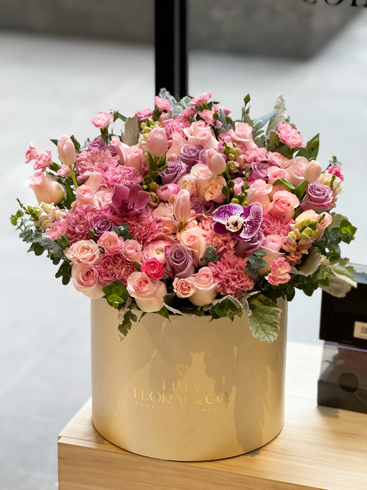 Dream Box: extra grande