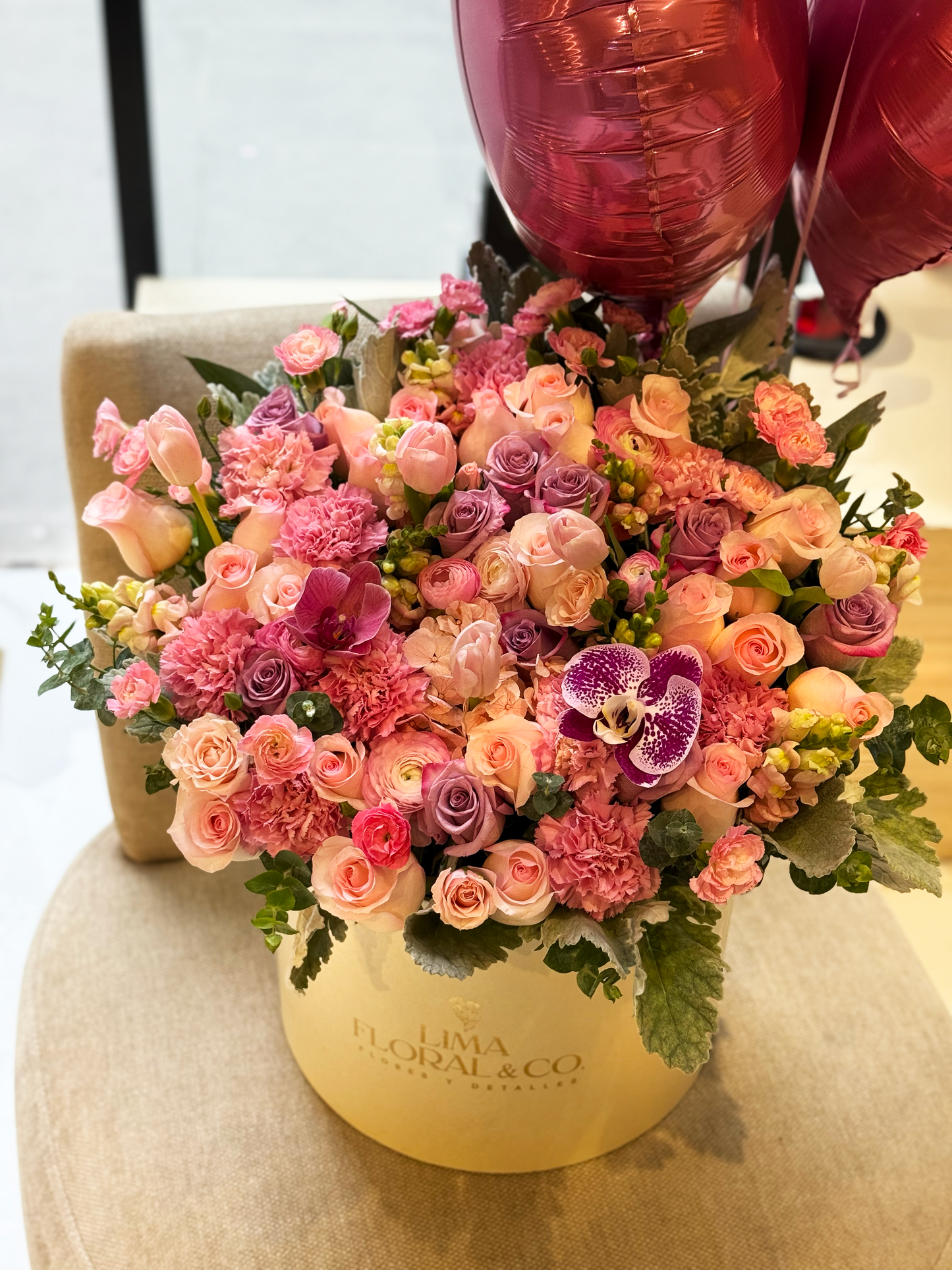 Dream Box: extra grande