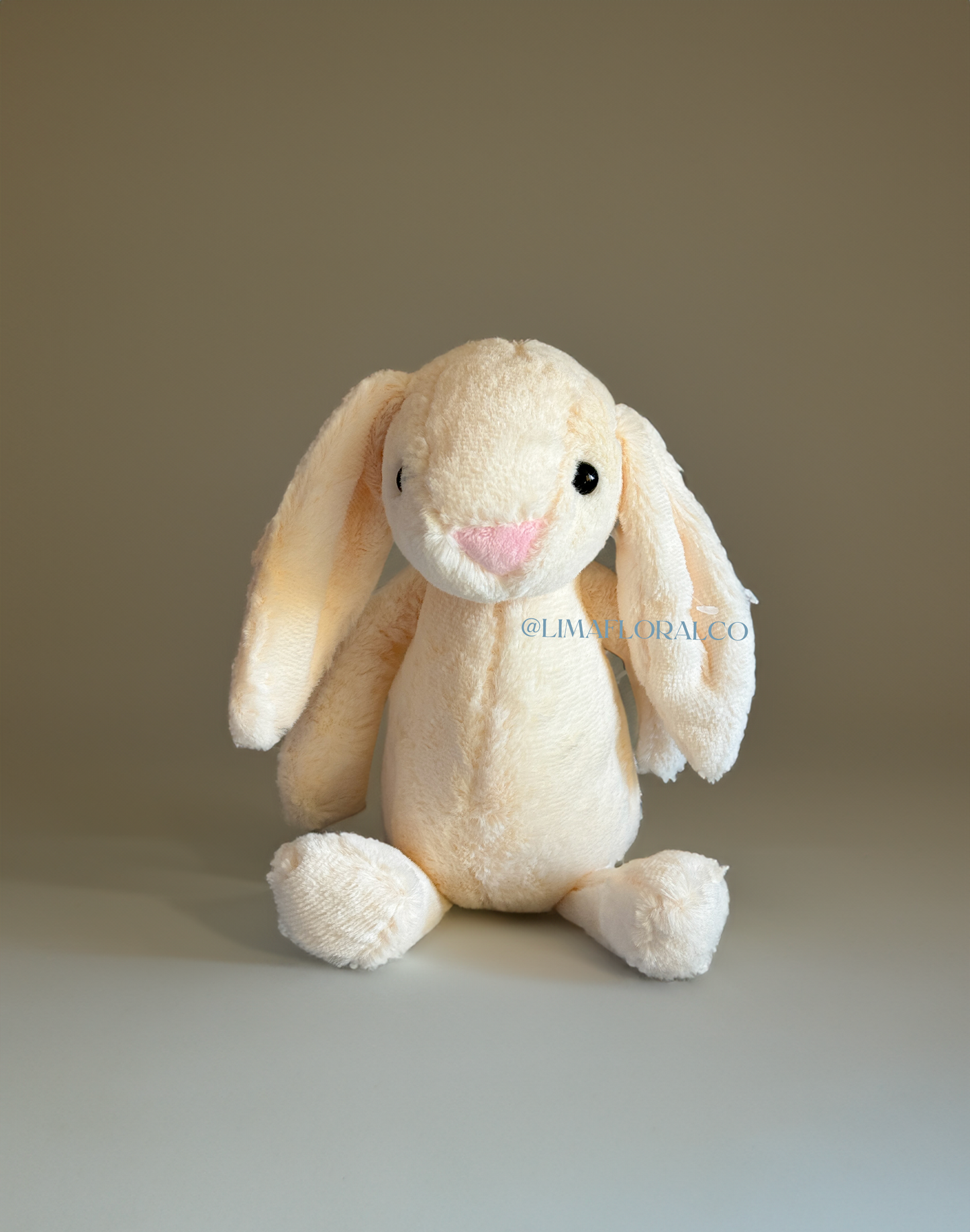 Conejitos de Peluche: Sweet Bunny