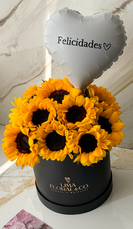 Box Sol: Girasoles