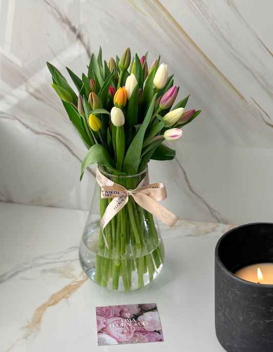 Jarrón 30 Tulipanes Frescos - Premium